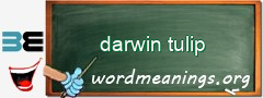 WordMeaning blackboard for darwin tulip